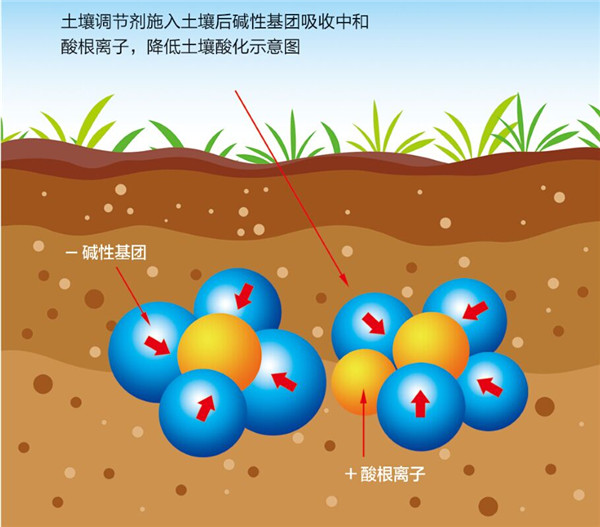 土壤是農(nóng)業(yè)的基礎(chǔ)，保護(hù)土壤，從現(xiàn)在開始