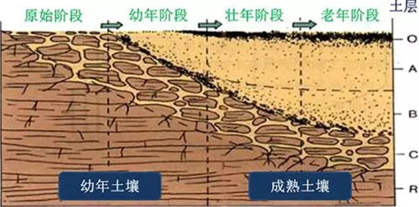土壤養(yǎng)分檢測儀工作原理、技術(shù)和方法