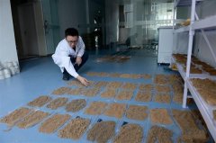 土壤酸堿度快速測(cè)量儀：多少錢及其原理、技術(shù)功能