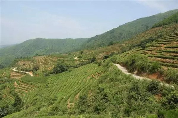 土壤養(yǎng)分檢測器?；緲藴屎筒僮鞣椒? width=